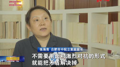 和事佬在线观看合肥,合肥调解风云录