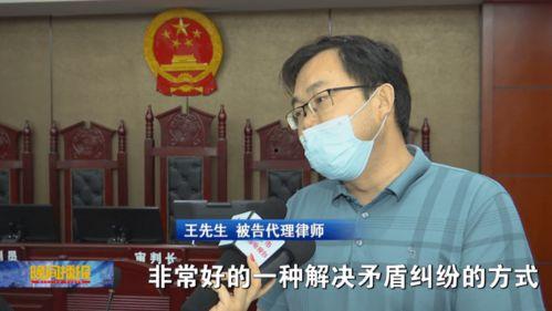 和事佬在线观看合肥,合肥调解风云录  第2张