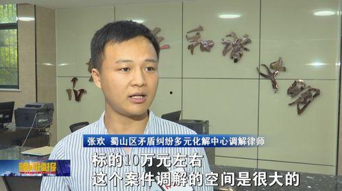 和事佬在线观看合肥,合肥调解风云录  第3张