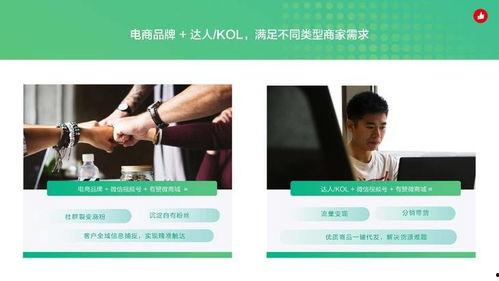 树叶直播爆料怎么做视频,揭秘视频制作全流程  第3张