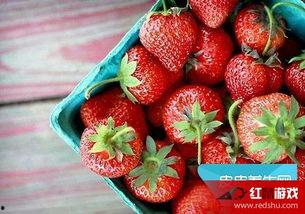 娱乐吃瓜酱草莓发卡,娱乐吃瓜酱的时尚宠儿  第3张