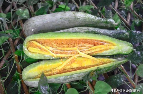 张掖网红吃瓜视频,揭秘当地特色美食背后的故事