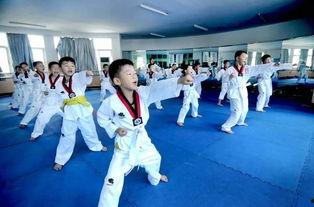 跆拳道小李玩法爆料视频,视频爆料带你领略跆拳道魅力