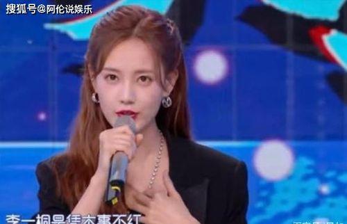 今日娱乐圈爆料李一桐,娱乐圈再掀波澜  第2张