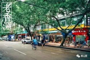 珠海小区最新爆料,揭秘神秘豪宅背后的故事  第3张