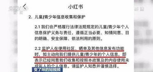 热点视频爆料法律,法律视角下的网络舆论风暴 第2张 热点视频爆料法律,法律视角下的网络舆论风暴 第2张