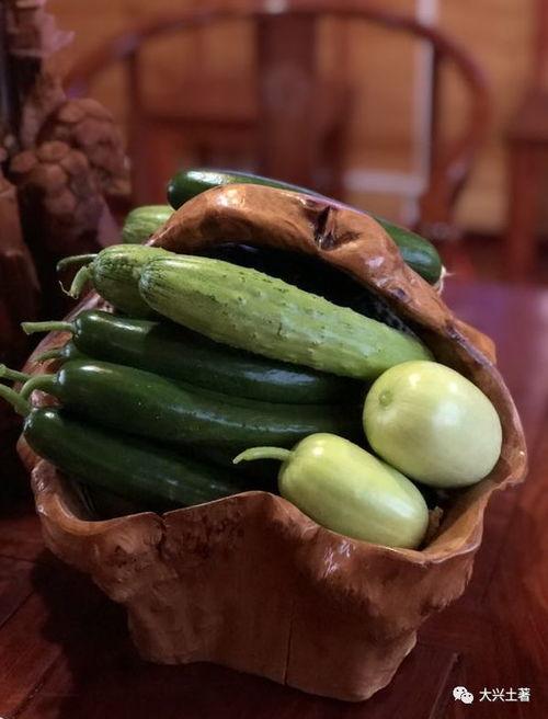 东海网红吃瓜,揭秘娱乐圈幕后风云  第3张