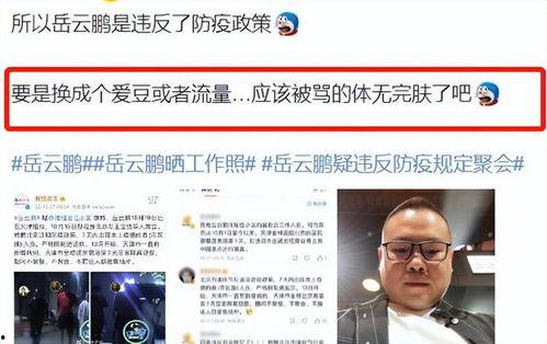 岳云鹏爆料者视频,背后真相令人震惊 第2张 岳云鹏爆料者视频,背后真相令人震惊 第2张